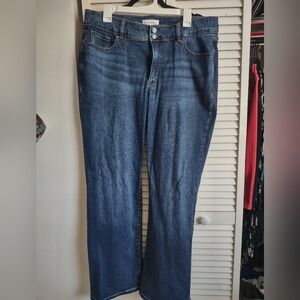 Lane Bryant Dark Blue Relaxed Men Jeans